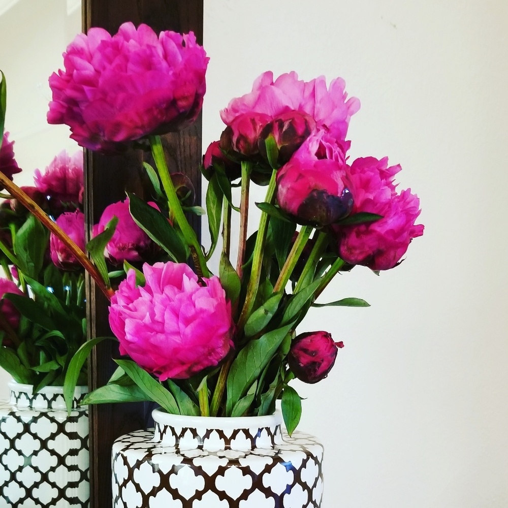 Meet your Posher, Esther